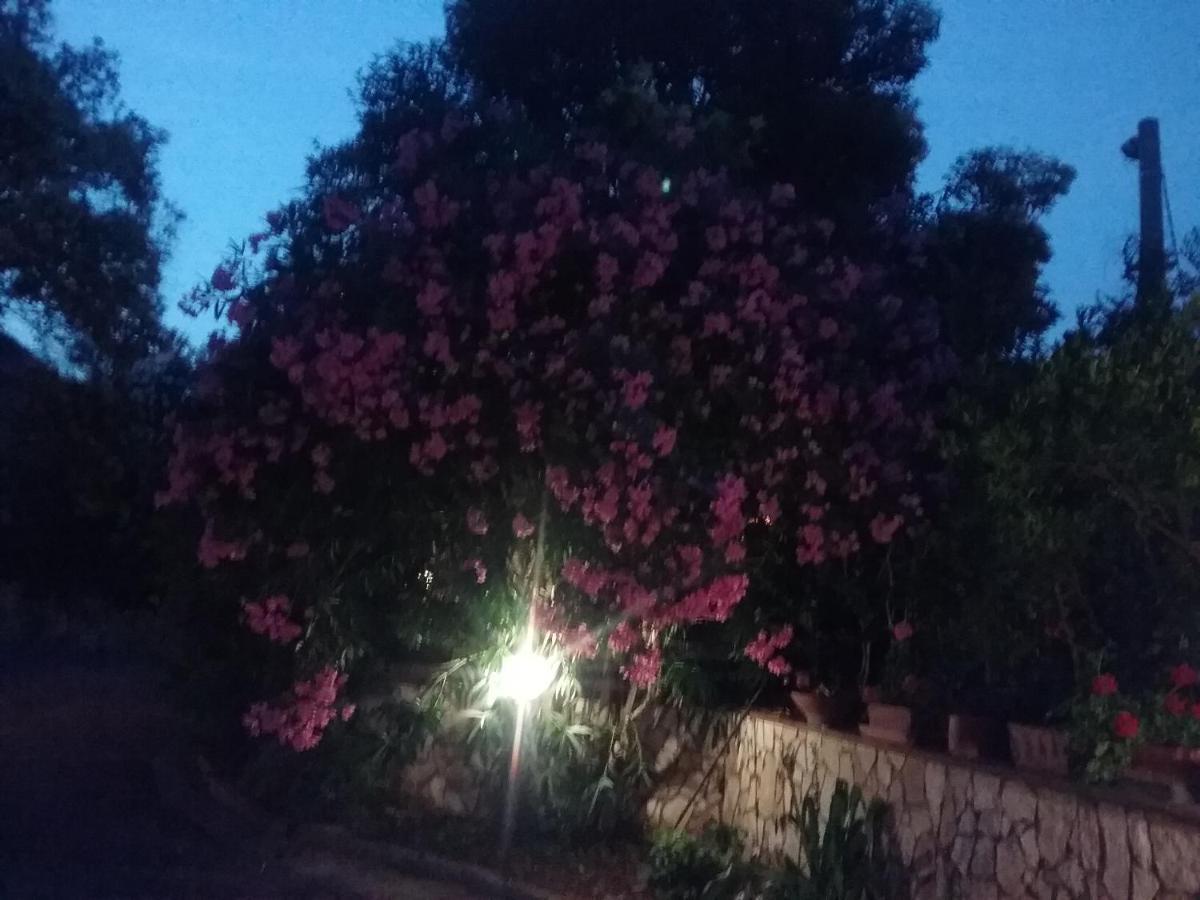 Apartamento Nel Giardino Fiorito Salerno Exterior foto